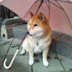 Meet your Posher, Fries